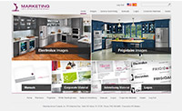 Electrolux Marketing Website Design