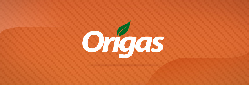 Origas Logo Design Miami